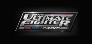 THE ULTIMATE FIGHTER 17 FINALE